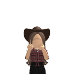 @sisvscrazybro