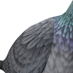 @vjkdygfuvfdvj4