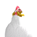 @sorryzackb