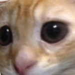 @oc12152012