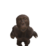 @Piggy_cool56