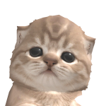 @anasmohd