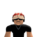 @roblox_user_2309662893