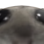 @gksquf0001