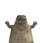 @Dragoigo