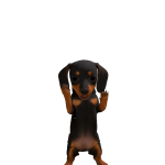 @NateMegaPets