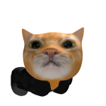 IMA_CAT