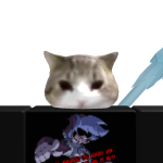 @guy1506
