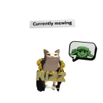 @highcreley135793