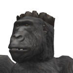 @monkey987202
