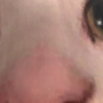 @kevin2becool