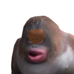 @Timsszz