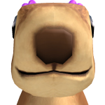 @potato_p1