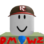 @dm_wz