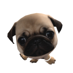 @laylathepug124