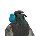 @Advaithplaysroblox2