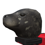 @ghostte999