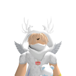 @NibinBloxYT