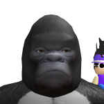 @kevinkungfuninja