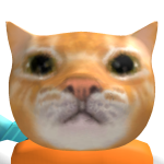 @fox_friend11
