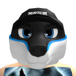 @Bordercolliebolt7