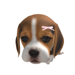 @Doggylover_Asya