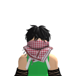 @salehqtr3