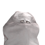 @FoNoFoBro