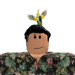 @drewby5432