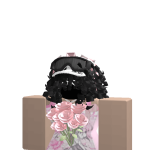 @ZeeZee0805