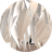 WDV_IV