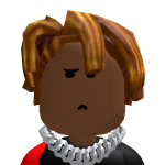 @robloxprvip