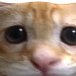 @Hikillwer2
