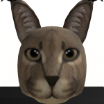 kyki