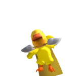 @DukePoller