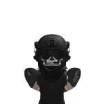@SFRT11