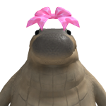@23masterpiggyboar