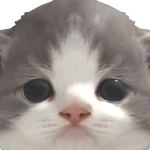 @cubsnot