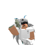 @N0T_FL1PER