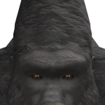 @cool_shark42