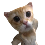 @Dotiop8