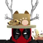 @Racoon30000