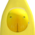 @Zaydanlol12345678