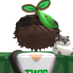 @ivTwig