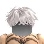 roblox_user_2716134909