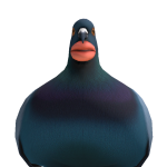 @poolpmb