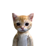 @zxshhki
