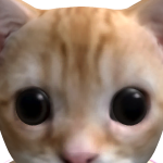 @LoveHisBesos