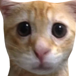 @SelgaBootRoblox