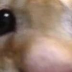 @Thriveicus